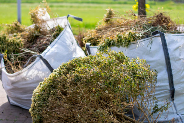 Best Dumpster Rental Services  in Kearny, NJ